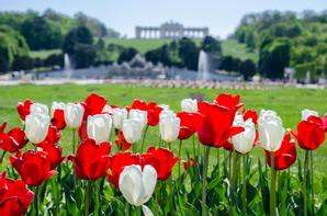 Hotel Secession an der Oper | Vienna | Galerie - 13